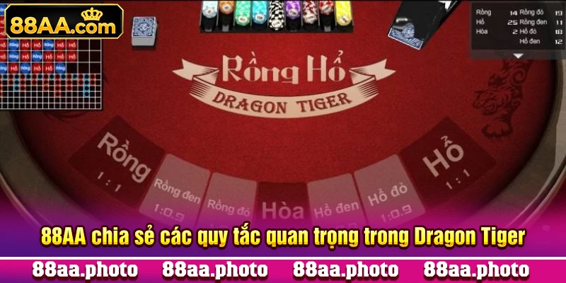 88AA chia sẻ các quy tắc quan trọng trong Dragon Tiger