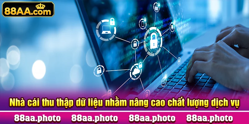 Nhà cái thu thập dữ liệu nhằm nâng cao chất lượng dịch vụ